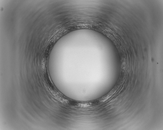 X0000059240662200510140821