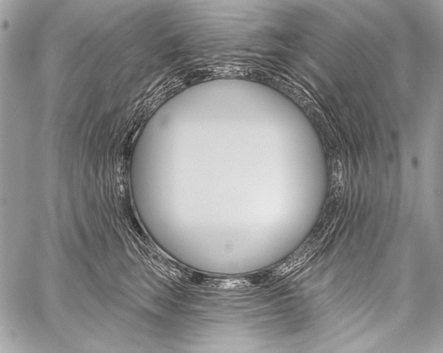 X0000059240663200510140822
