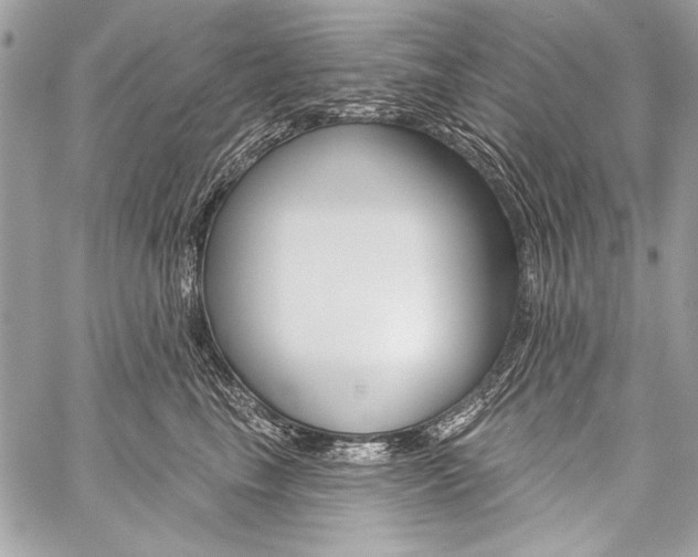 X0000059240665200510140822