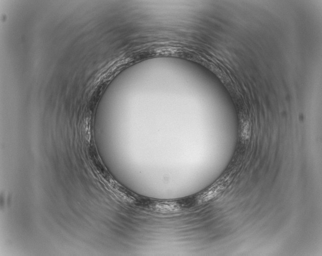 X0000059240666200510140822