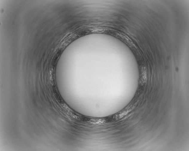 X0000059240667200510140822