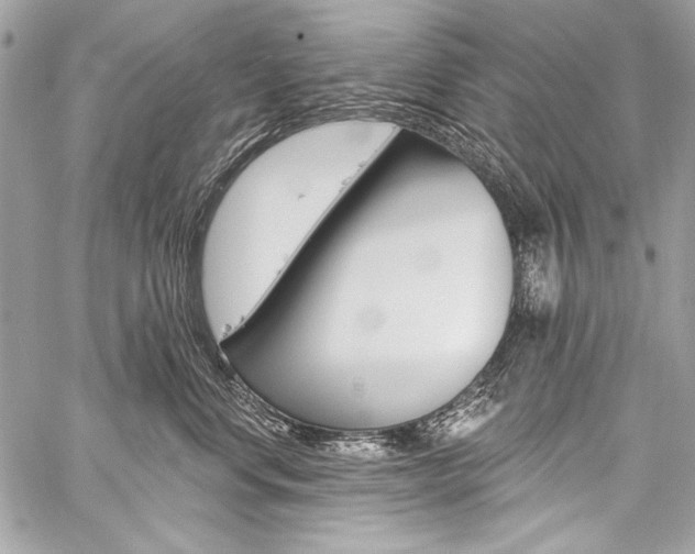 X0000059240668200510140822