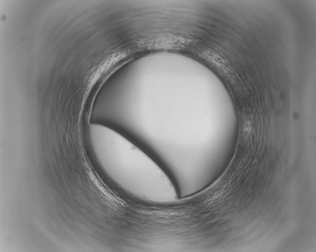 X0000059240678200510140821