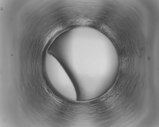X0000059240679200510140821