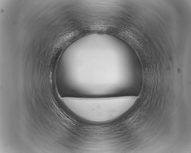 X0000059240692200510140821