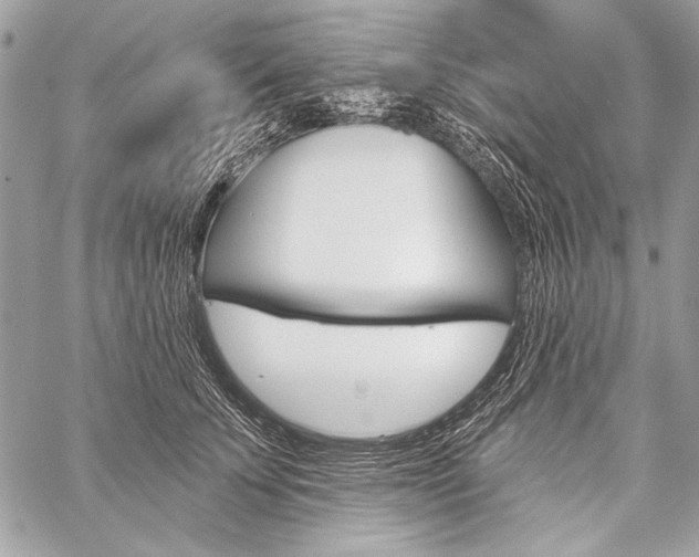 X0000059240707200510140820