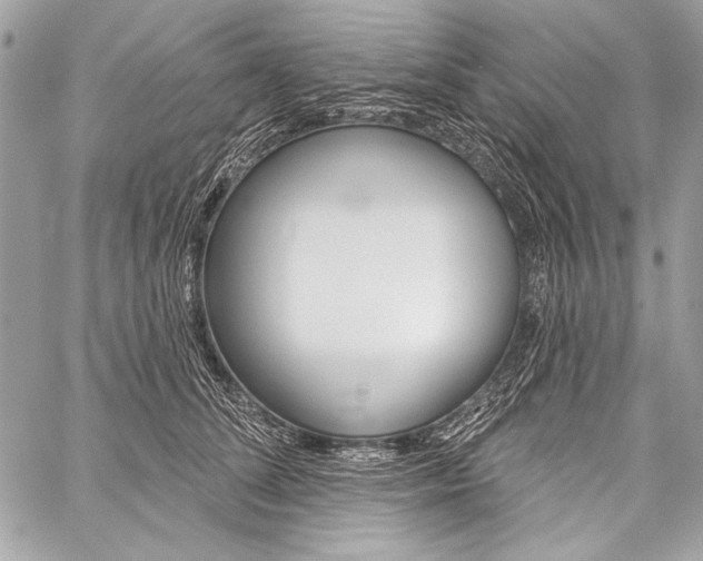 X0000059240708200510140820