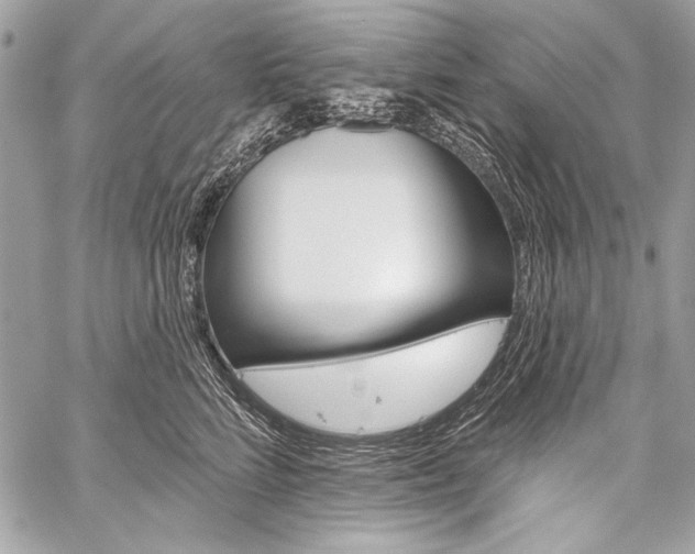 X0000059240712200510140820