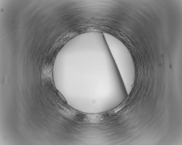 X0000059240713200510140820