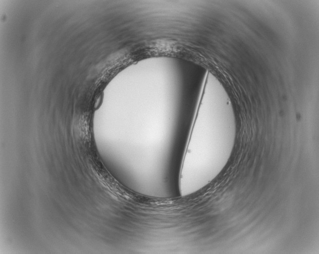 X0000059240715200510140820