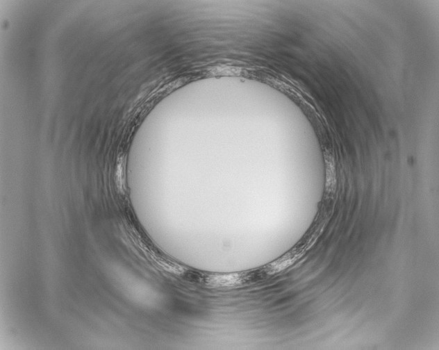 X0000059240717200510140820