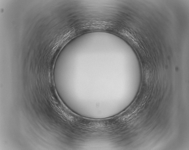 X0000059240729200510140819