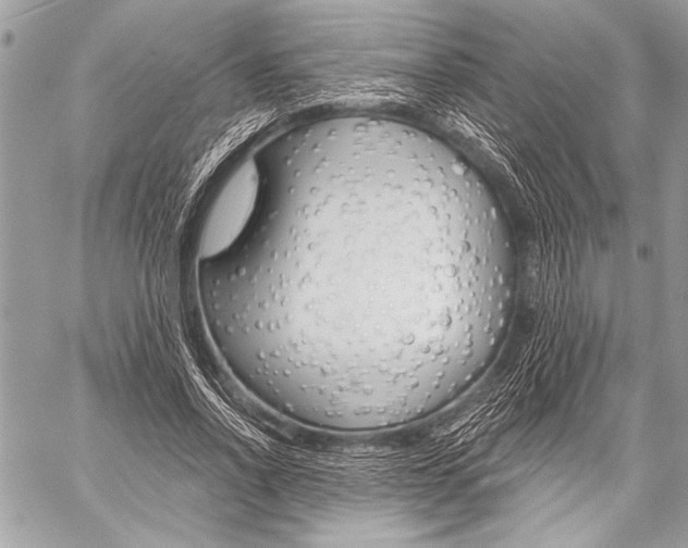 X0000059240734200510140820