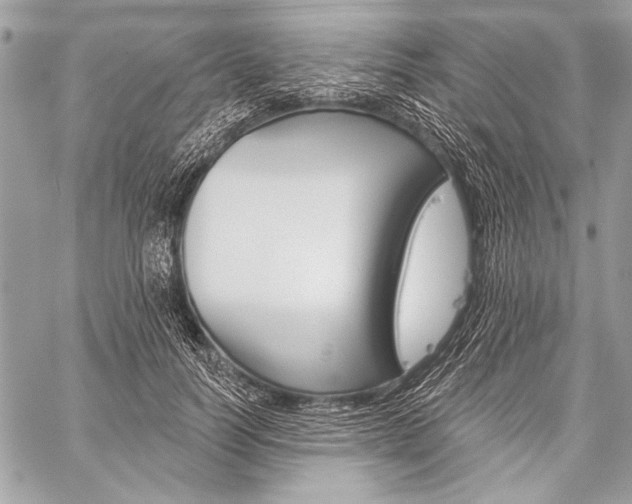 X0000059240746200510140820