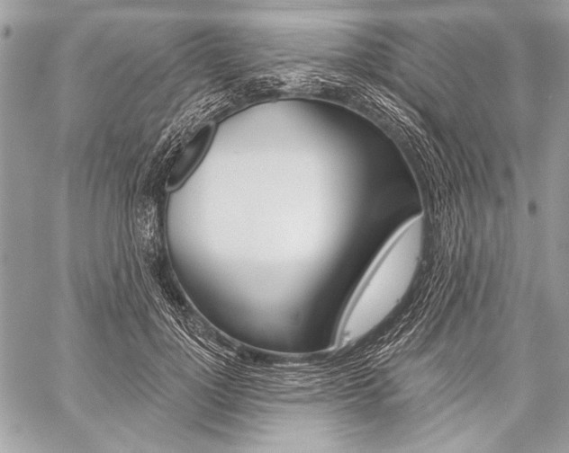 X0000059240748200510140820