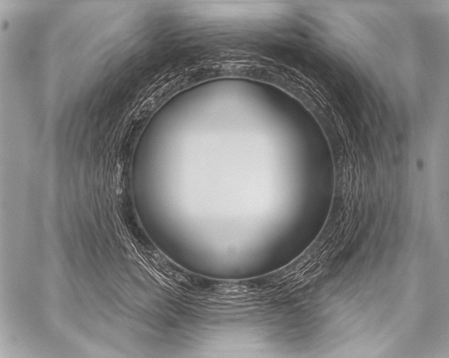 X0000059240750200510140820