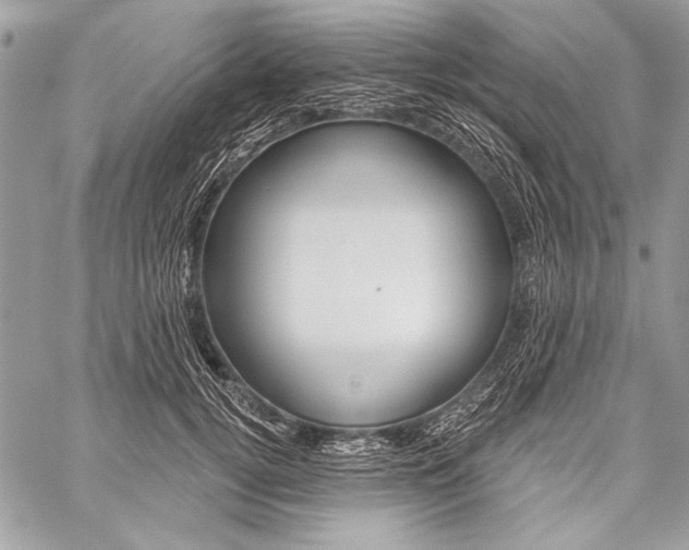 X0000059240752200510140820