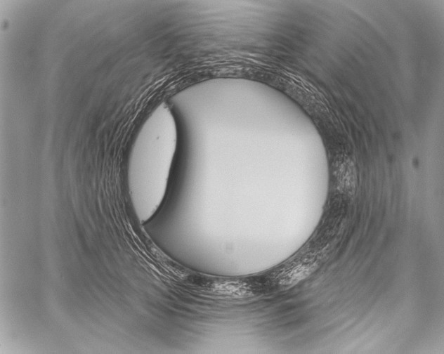 X0000059240753200510140820