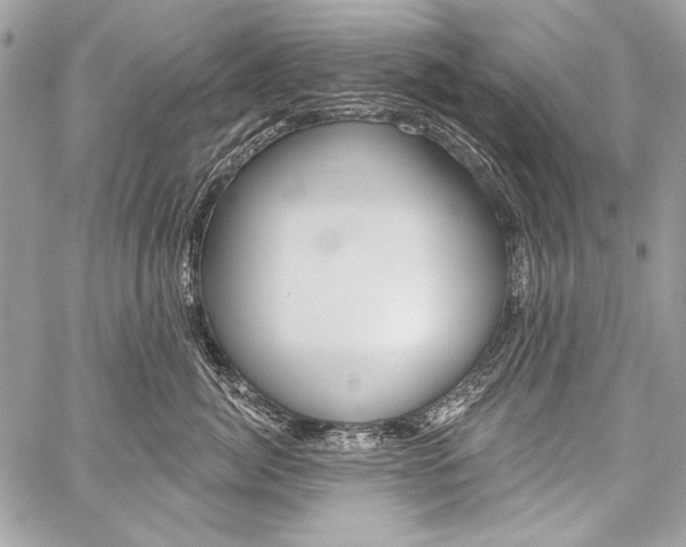 X0000059240764200510140820