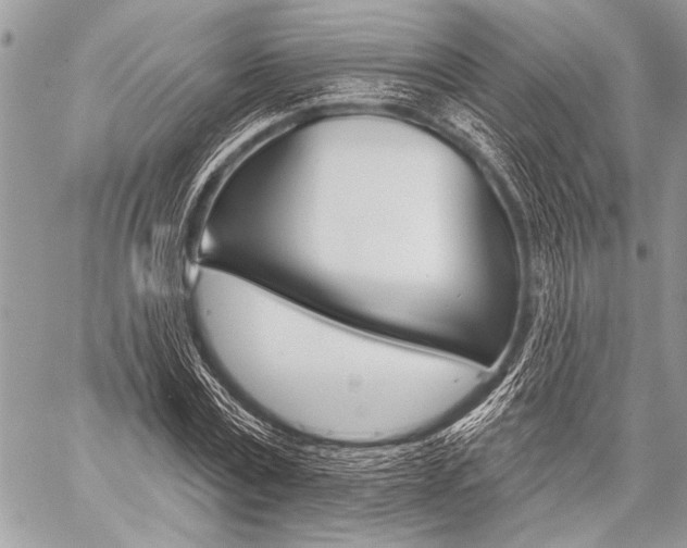 X0000059240779200510140819