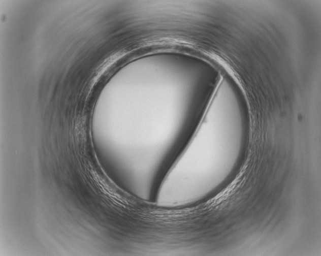X0000059240783200510140819