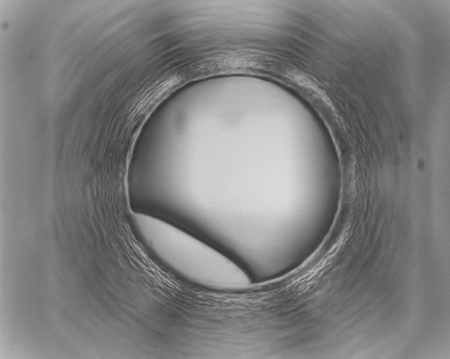 X0000059240785200510140819