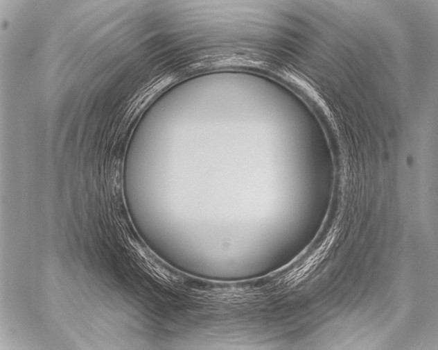 X0000059240793200510140819
