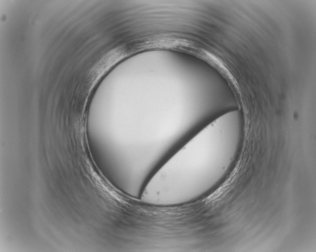 X0000059240802200510140819