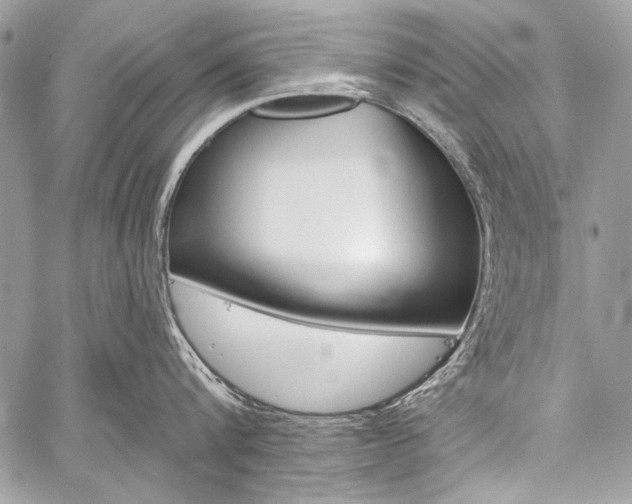 X0000059240816200510140819