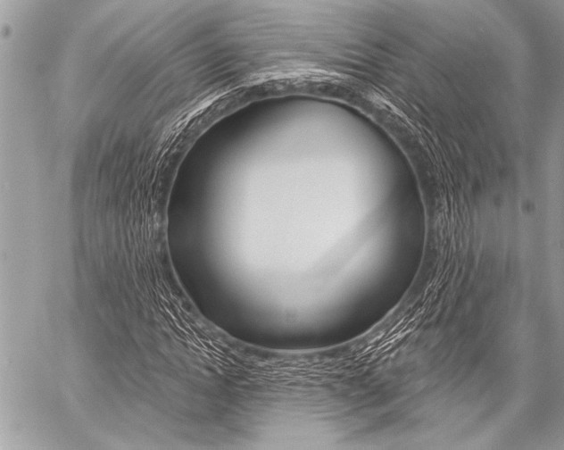 X0000059240822200510140818