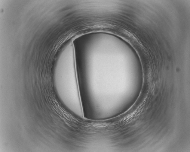 X0000059240825200510140818
