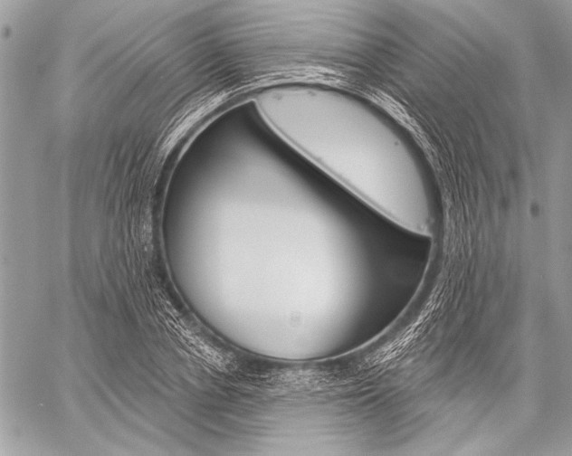 X0000059240834200510140818