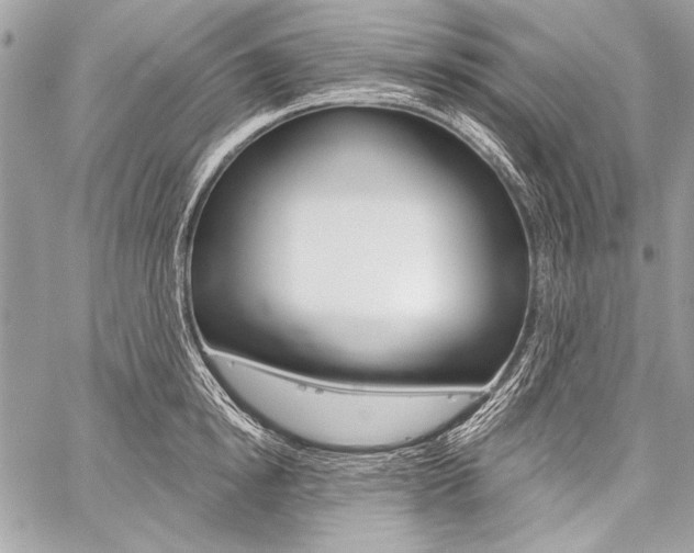 X0000059240854200510140818