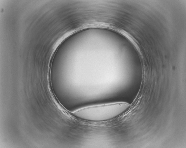 X0000059240861200510140818
