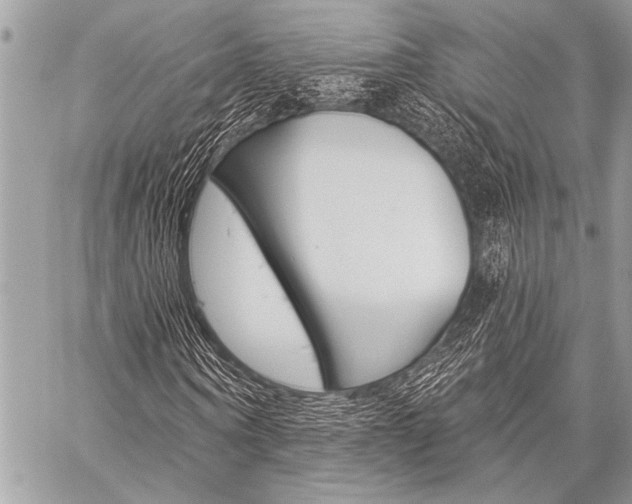 X0000059240866200510140818