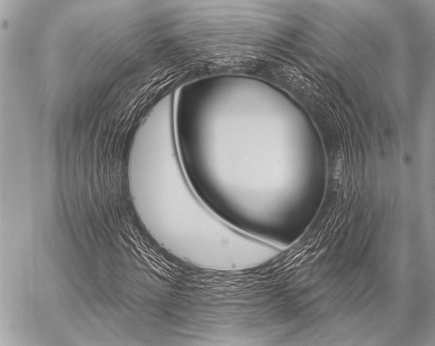 X0000059240868200510140818