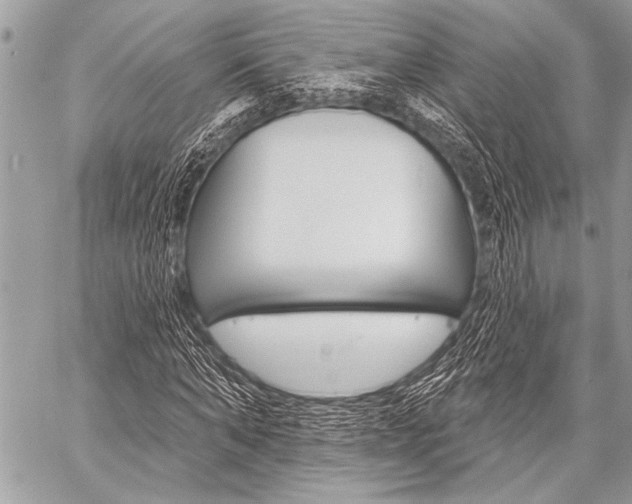 X0000059240870200510140818