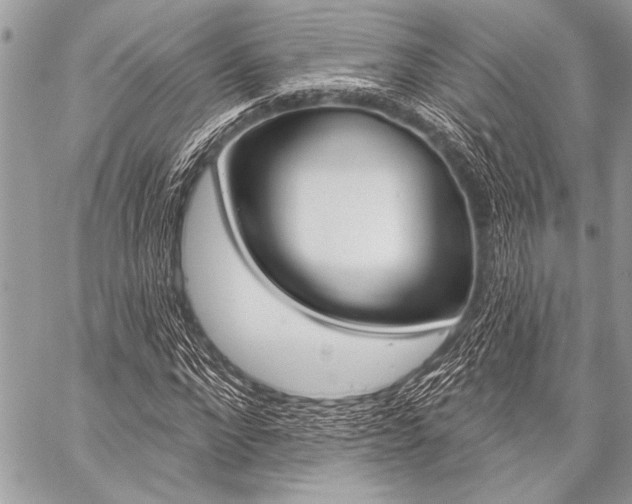 X0000059240872200510140818