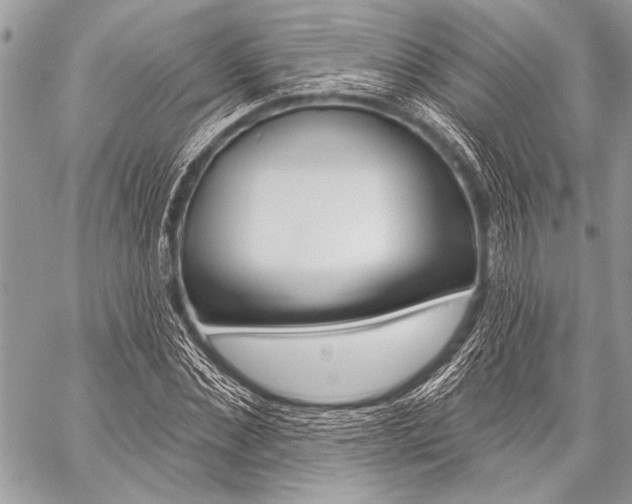 X0000059240876200510140818