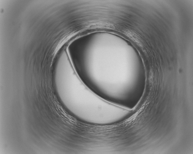 X0000059240877200510140818