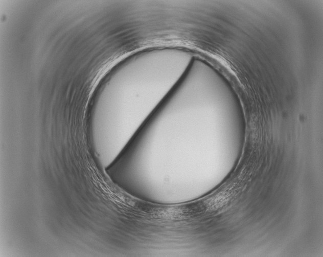 X0000059240879200510140818