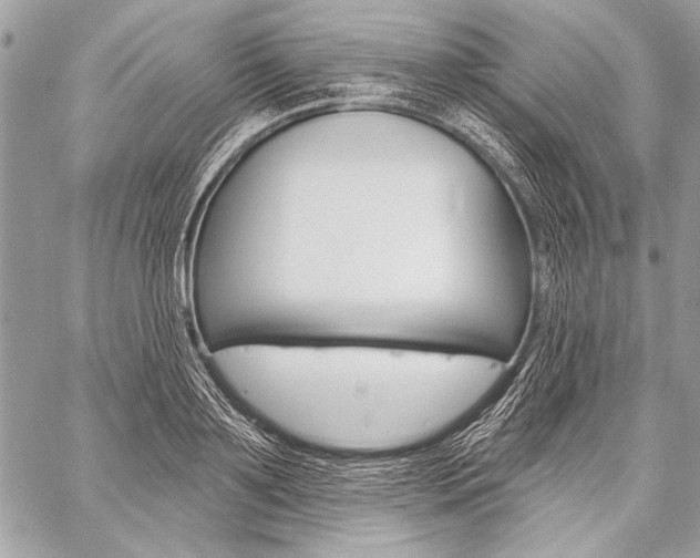 X0000059240891200510140817