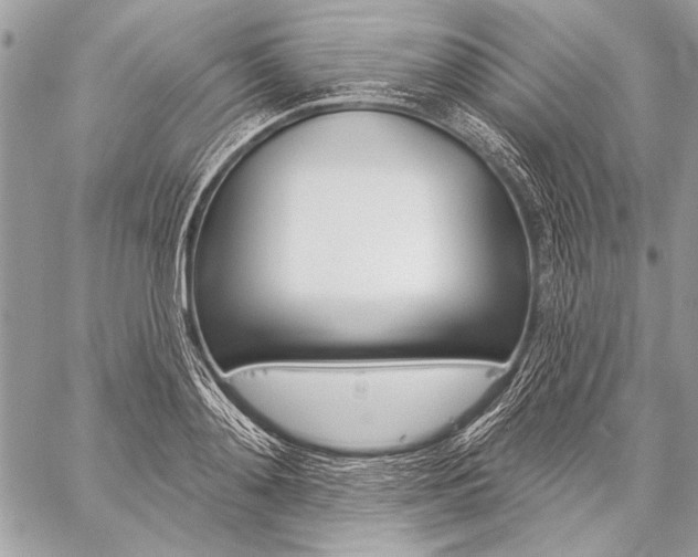 X0000059240892200510140817