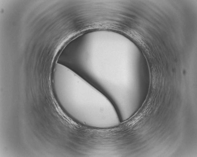 X0000059240896200510140817
