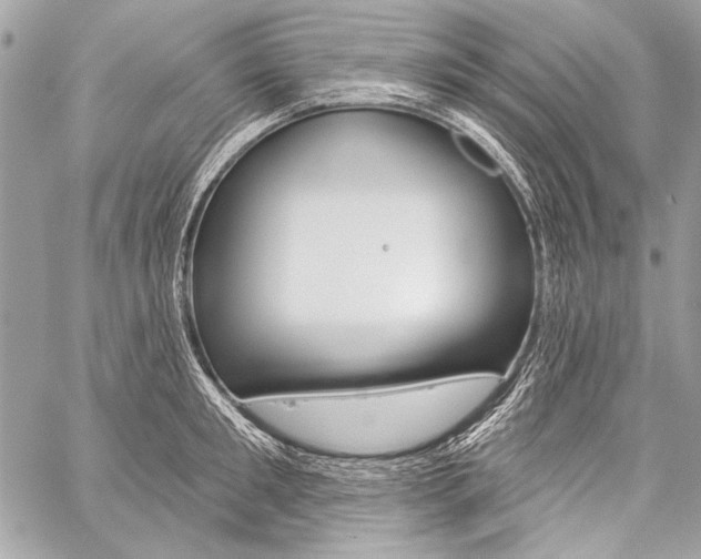 X0000059240901200510140817