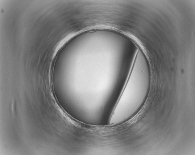 X0000059240910200510140817