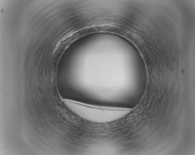 X0000059240920200510140816