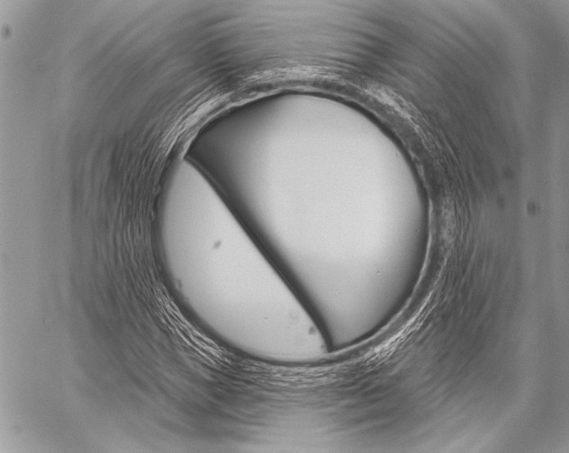 X0000059240921200510140816