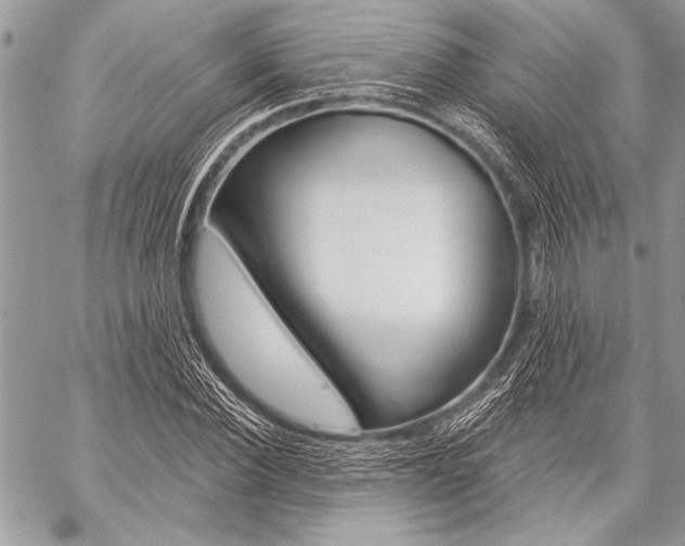 X0000059240924200510140816