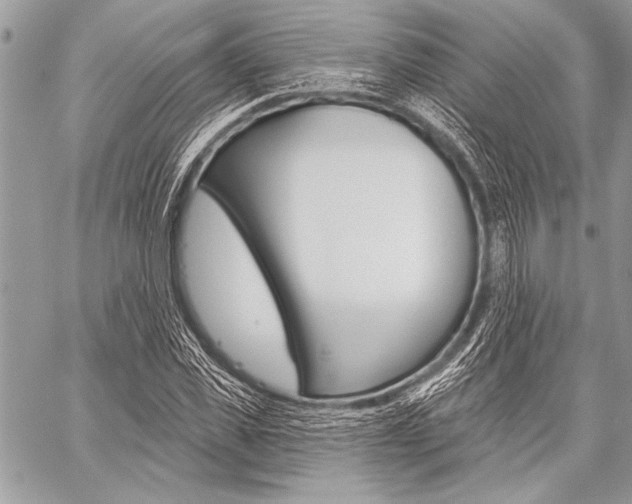 X0000059240925200510140816